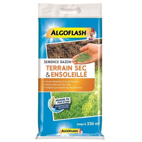 ALGOFLASH Semences gazon terrain sec et ensoleillé 5 Kg Cdiscount