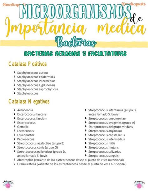 Microorganismos De Importancia Medica 💊medicquests♡ Udocz