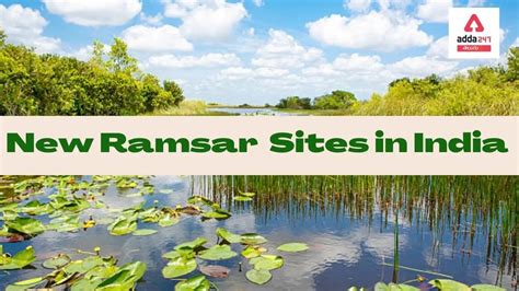 New Ramsar Sites In India 11 More Sites In India Added To Ramsar List