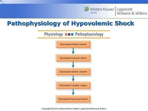 Hypovolemic Shock Pathophysiology