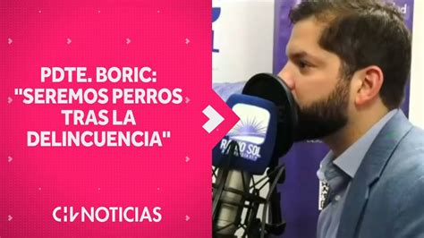 PDTE BORIC y seguridad Vamos a ser unos perros en la persecución de