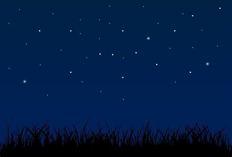 Night sky background with stars and grass silhouette 4435791 Vector Art ...