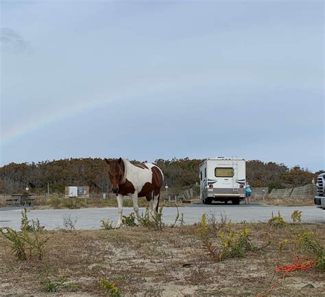 Best Campgrounds in Maryland