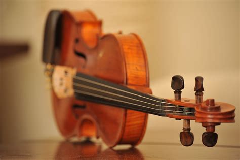 Viol N Instrumento M Sica Foto Gratis En Pixabay Pixabay