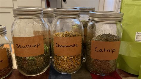 Storing Dried Herbs In Mason Jars Medicinal Herb Storage Life Plus