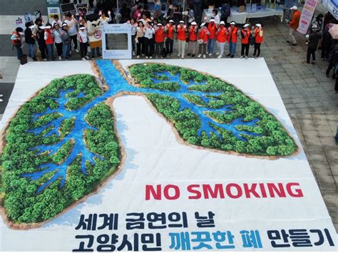 고양시 덕양구보건소 세계 금연의 날 맞아 금연캠페인 진행 고양파주투데이