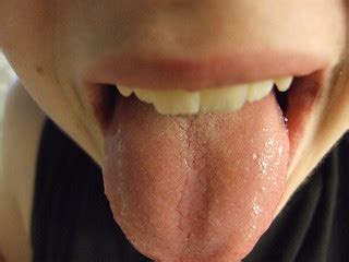 Sarah Stambaugh Boring Tongue Smooth Tongues Are So Bori Flickr