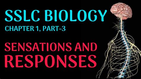 Sslc Biology Class 3 Sensations And Responses Youtube