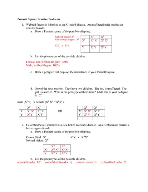 Punnett Squares X Linked Worksheet Answers Printable Word Searches