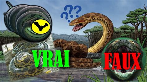 5 vrais faux TITANOBOAS de THETOPMAN - YouTube