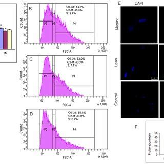 Population Doubling Assay And Cell Cycle Analysis Of Bm Mscs A Mscs