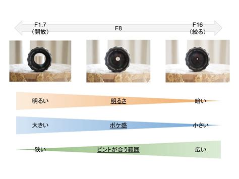 絞り（f値）ってなに？これでボケをつくりだせる！カメラ初心者の疑問を解決！！｜ながしょうブログ