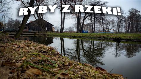 Ryby Z Rzeki Youtube