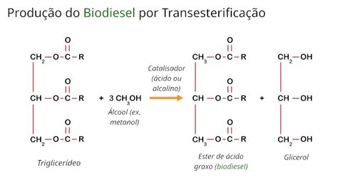 Esterificação E Transesterificação - Esterificação: o que é, reação, exemplos - Mundo Educação