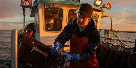 inshore fisheries  sustainable future scottish seabird centre