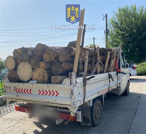 Transport ilegal de lemne descoperit pe DN 29B Marfa a fost confiscată