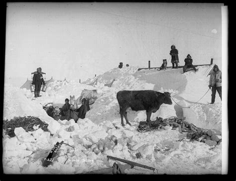 David Reamer On Twitter Circa Dairy In A Nome Winter Note