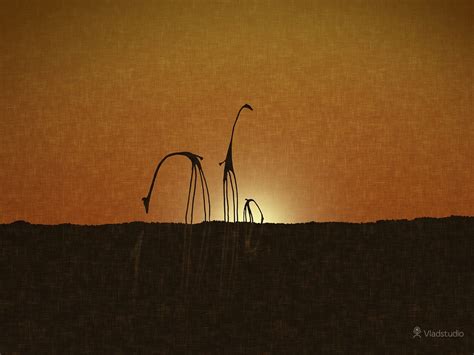 Wallpaper Sunset Shadow Artwork Giraffes Evening Morning