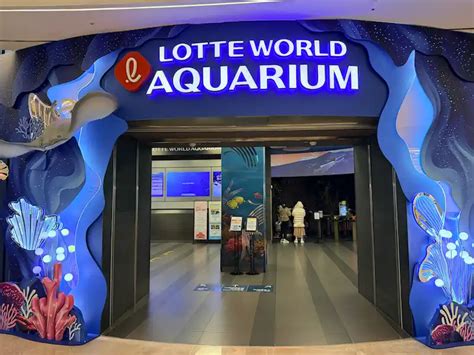 Lotte World Aquarium Seoul Guide Local Pro Tips And Parking Hack 2026