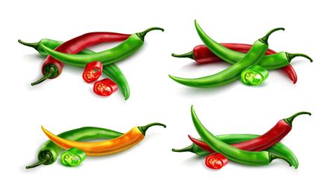 Red Chili Pepper Hot Spicy Paprika Cayenne 13455510 Vector Art At Vecteezy