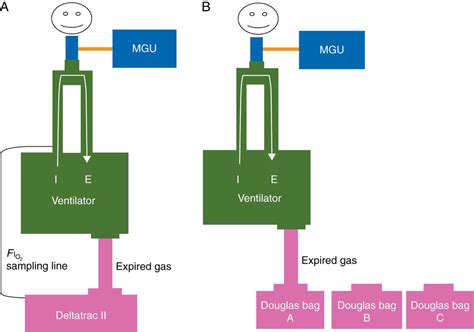 Metabolic Monitoring In The Intensive Care Unit A Comparison Of The