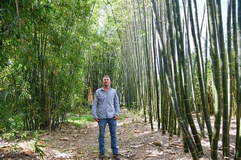 TALL TALE: Meet the man behind Ocoee Bamboo Farm | West Orange Times ...