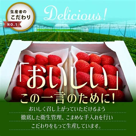 【1月下旬より順次発送】農家直送 朝採り新鮮いちご 【博多あまおう】 約270g×2パック お礼の品のご紹介 福岡県久留米市