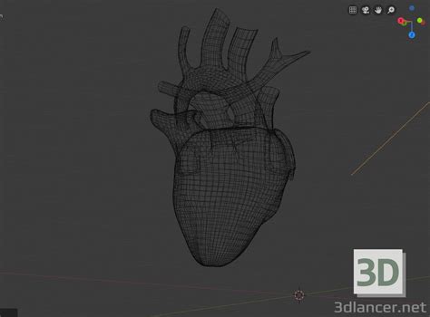 3d модель Сердце | 38201 | 3dlancer.net