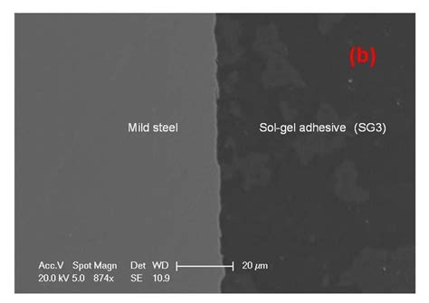 Sem Cross Section Interfacial Micrographs Of The Mild Steel Surfaces