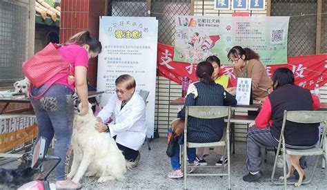 落實犬貓源頭管理 偏區犬貓免費絕育活動開放報名 生活 中時