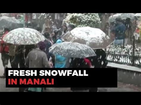 Fresh Snowfall In Manali Brings Cheer To Tourists YouTube