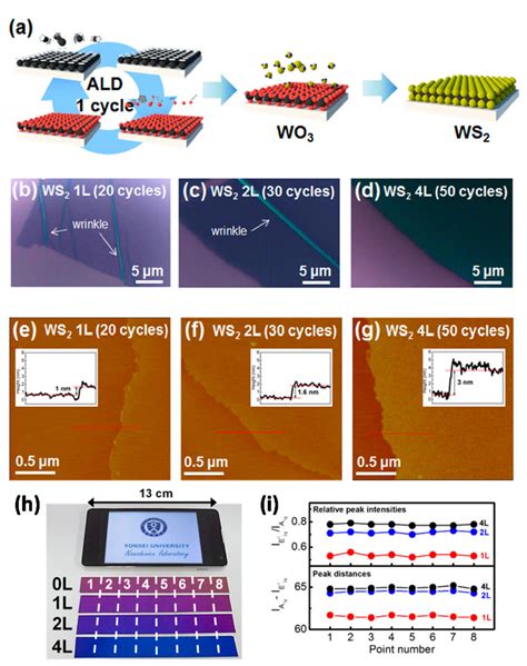 Atomic Layer Deposition Ald Based Layer Controlled Cvd Growth Of Ws