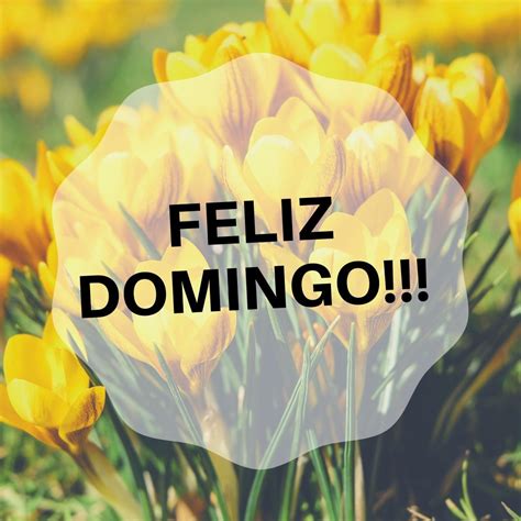 De Domingo A Domingo