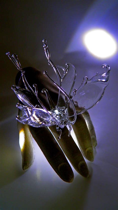 Коктейльные кольца. | Пикабу