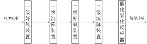 过氧化二异丙苯生产废水处理系统的制作方法