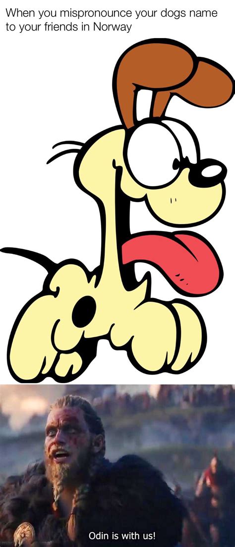 Odie the almighty : r/memes