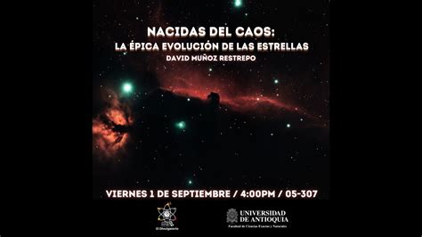 Nacidas del caos la épica evolución de las estrellas YouTube