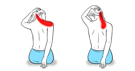 Estiramientos Para Aliviar La Tensi N En El Cuello Y Los Hombros