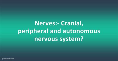 Nerves Cranial Peripheral And Autonomous Nervous System Quanswer