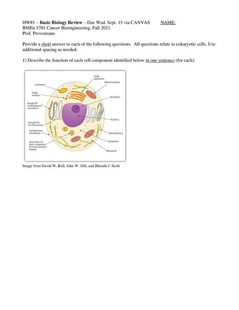 Cancer Bio Eng HW1 HW 1 Basic Biology Review Due Wed Sept 15