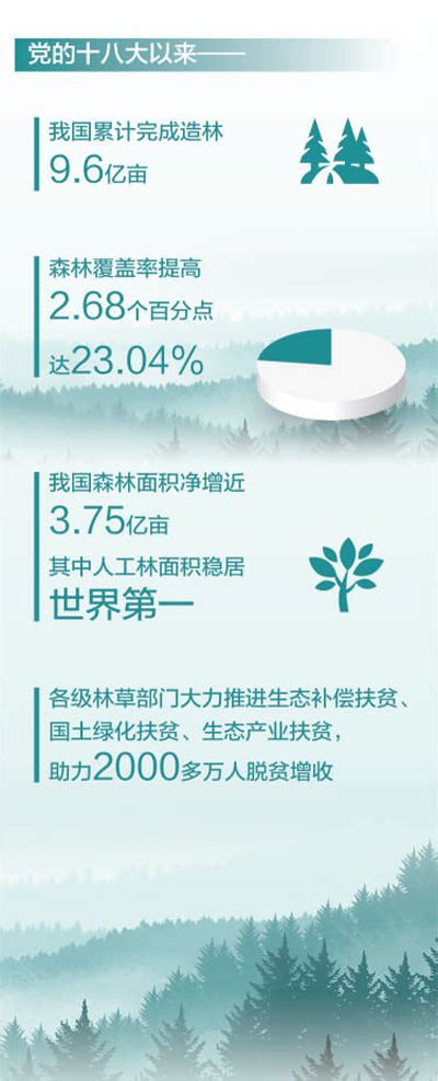 国际森林日丨我国森林面积近10年增近375亿亩 生态中国网