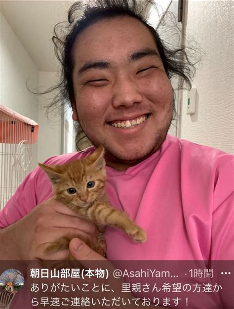 朝日山部屋「母猫と4匹の子猫を保護しました」告知に里親希望が続々「もちろん力士も募集しております！笑」【大相撲】：中日スポーツ・東京中日スポーツ