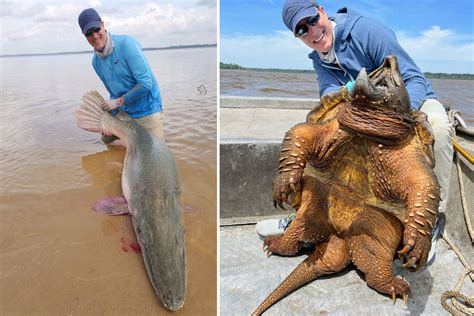 Angler Breaks Record With 188 Pound Alligator Gar Before Boating A 200