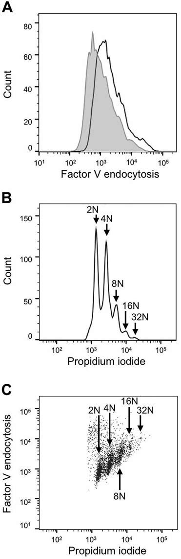 Simultaneous Flow Cytometric Analysis Of DNA Content And Endocytosed