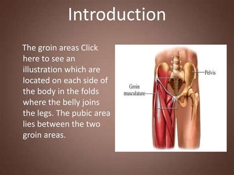 Groin Injuries And Problems PPT