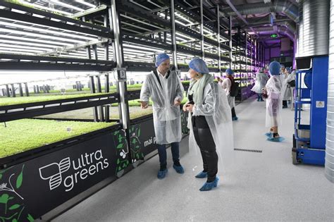 Kaufland And Ultragreens Open The First Vertically Integrated