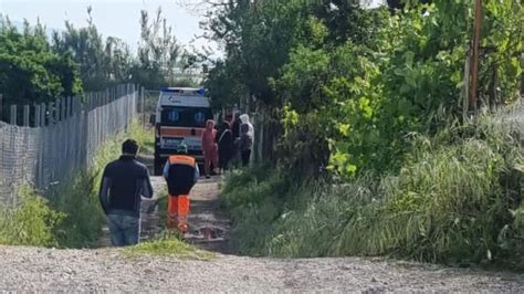 Bimbo Azzannato E Ucciso Da Pitbull A Eboli I Cani Al Servizio