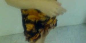 Egypt Anal For Free Tnaflix