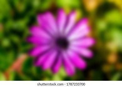 Blurred Abstract Nature Slide Background Stock Photo 1787233703 ...