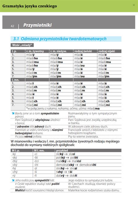 Gramatyka J Zyka Czeskiego Z Praktycznymi Przyk Adami Czeski